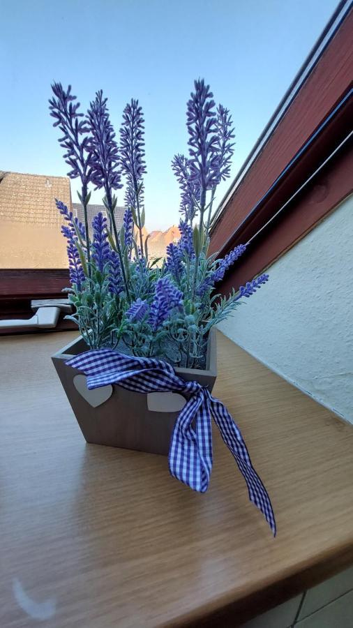Ferienwohnung Weser Minden  Zewnętrze zdjęcie
